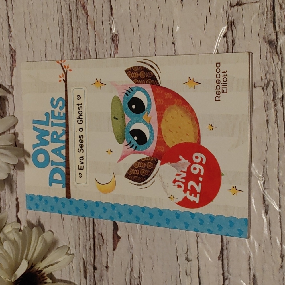 3/$13 Owl Diaries Eva sees a Ghost by Rebecca Elliott children book novel